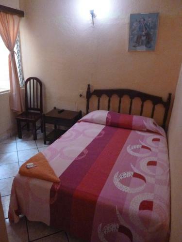 Hotel Posada De La Jungla