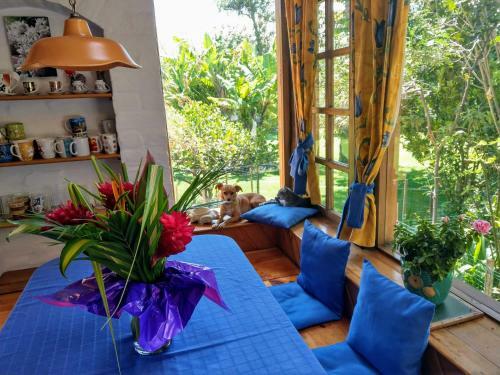 Bed & Breakfast Casa Magnolia
