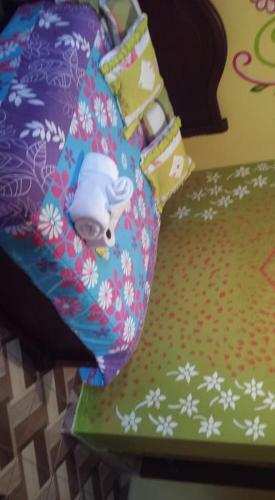 Hostal Israel 2