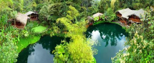 Lodge Mindo Lago Hotel Destino