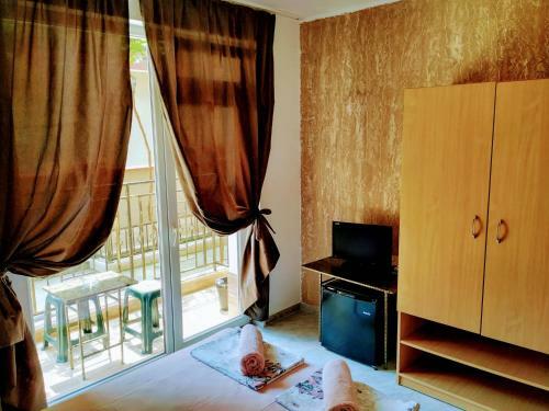Hostal Dracena Guesthouse