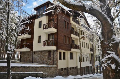 Borov Park Apartment