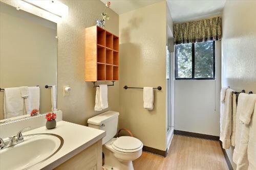 Alpine Meadows Mineral Spring Haven