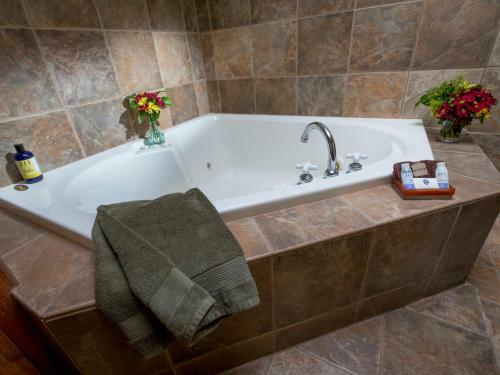 Bed & Breakfast Country Willows Inn