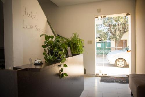 Hotel Luna Serrana