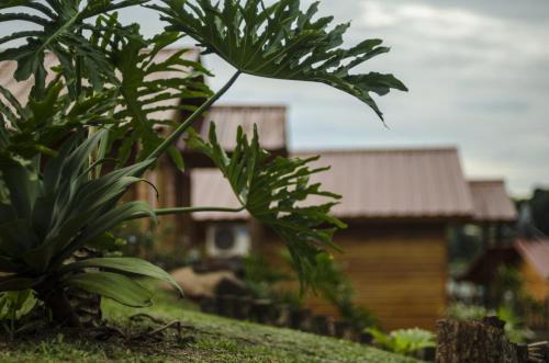 Lodge Caba�as Doralia