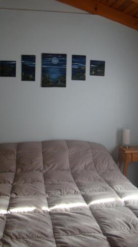 Bed & Breakfast Gwesty Plas Y Coed