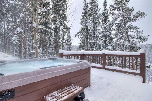 2542 Boreas Pass
