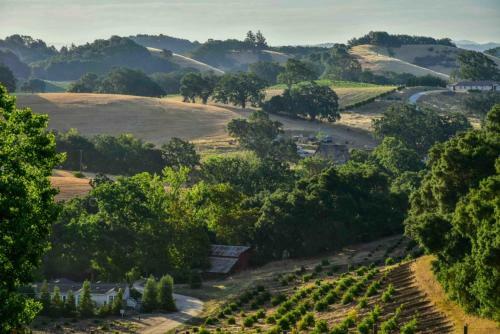 Orchard Hill Farm