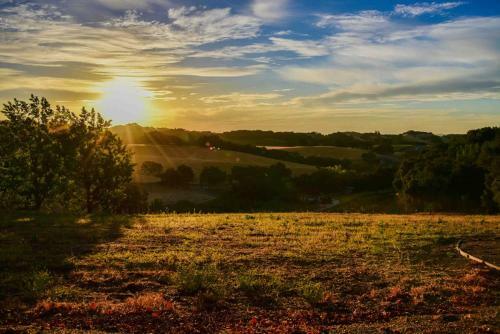 Orchard Hill Farm