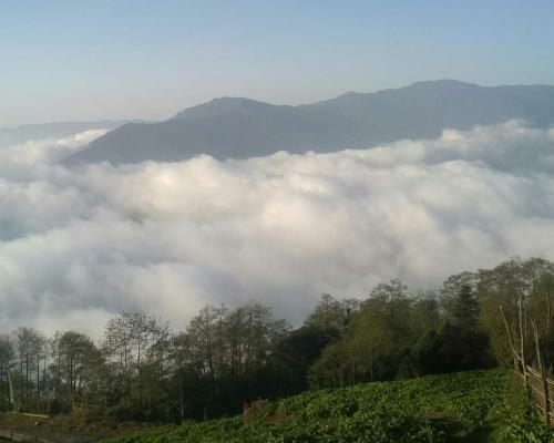 Serenity Homestay
