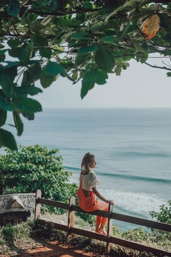 Hotel Cliff Stories