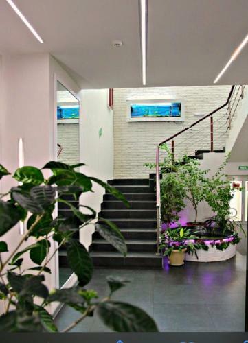 Brigantina Hotel