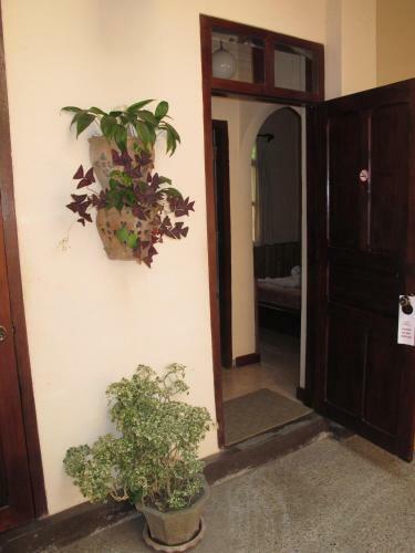 Hostal Manichan Guesthouse
