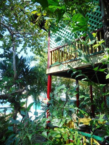 Hotel Banana Shout Resort
