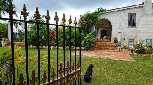 Posada Geddes Great House