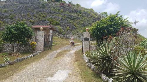 Posada Geddes Great House