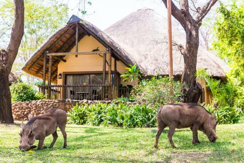 Hotel Chobe Marina Lodge