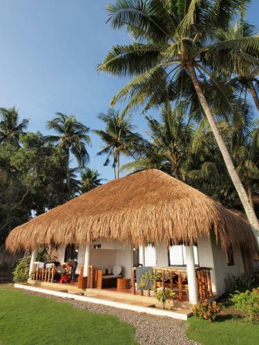 Hotel Pura Vida Beach & Dive Resort