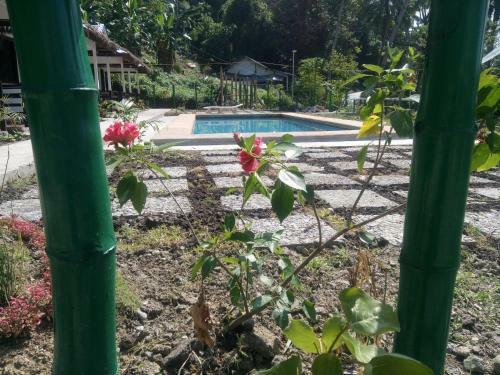 Hotel Dahilig Resort