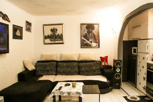 Apartment Hedonist