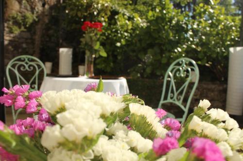 Bed & Breakfast Essentia Guest House