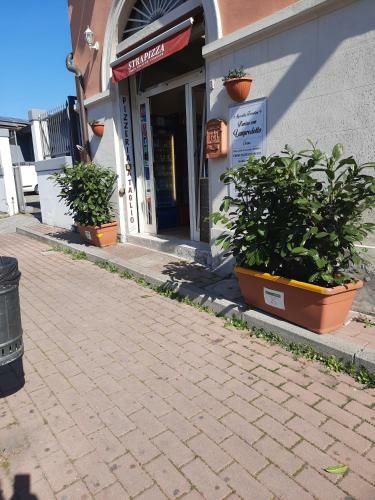 Hostal Girasole House