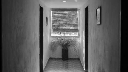 Posada Rinc�n Del Sol