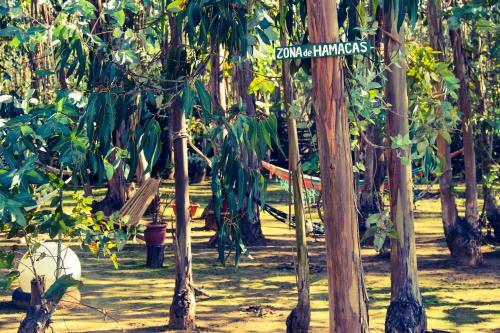 Lodge Bosques De San Jose