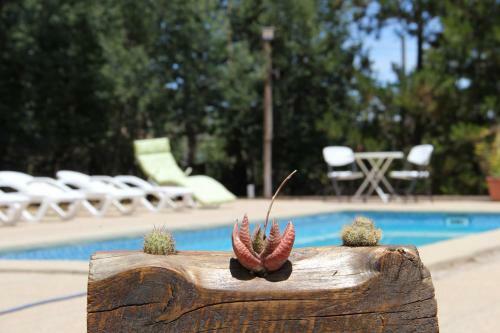 Lodge Bosques De San Jose