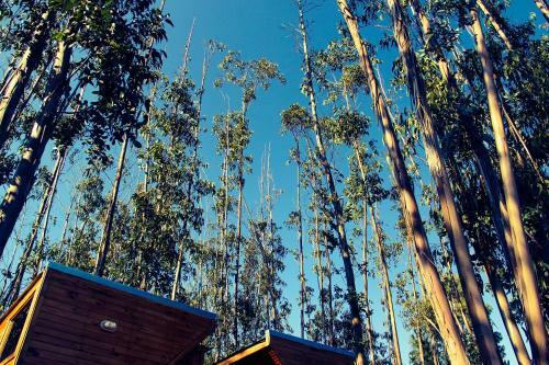 Lodge Bosques De San Jose