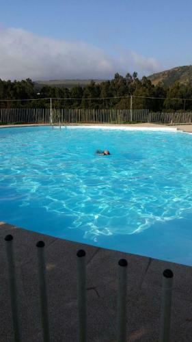 Apartamento Lomas De Papudo Ll