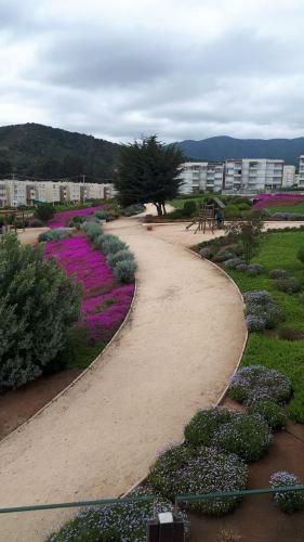 Apartamento Lomas De Papudo Ll