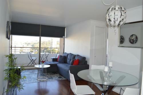 Vi�a Del Mar Apartment
