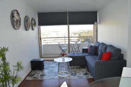 Vi�a Del Mar Apartment