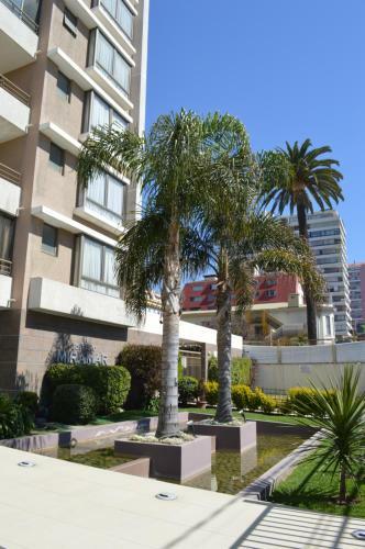 Vi�a Del Mar Apartment