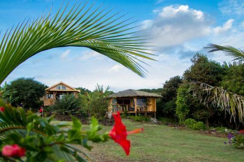 Kona Koa Lodge