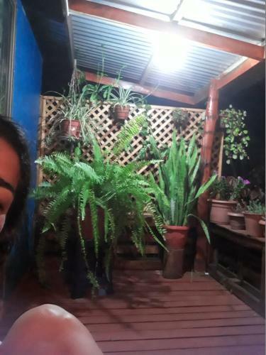 Lodge Caba�a Hare Moana