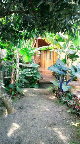 Lodge Caba�as Te Maori