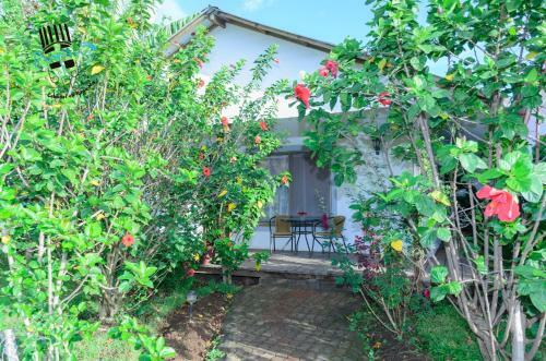 Hostal Y Caba�as Aorangi
