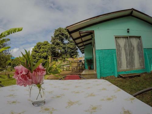 Cabanas Tumu VI