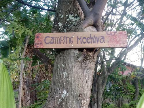 Moehiva