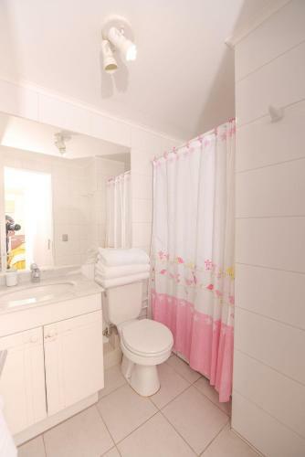 Apartamento Puc�n