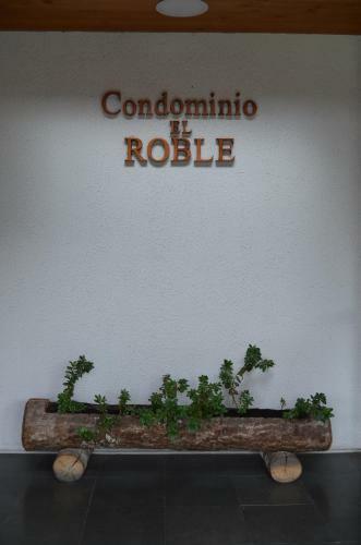 Apartamento Puc�n