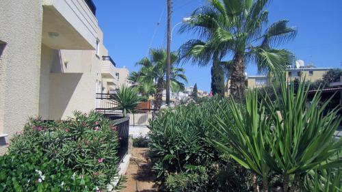 Senator Hotel Apartments