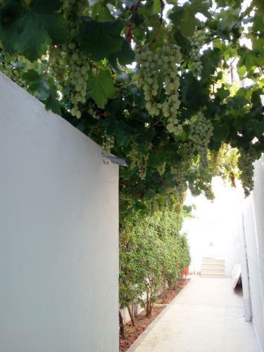 Villa Azaiiza, Rez De Jardin