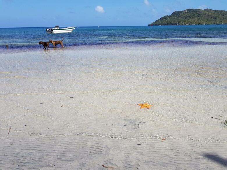 Posada Old Town Bay