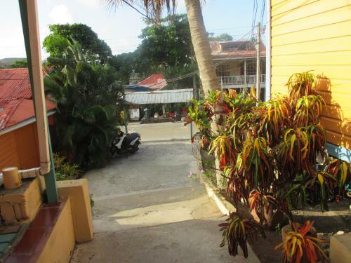 Hostal Hotel Flemming Tree