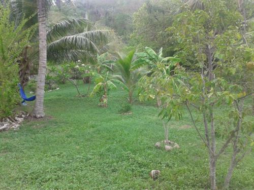 Apartamento Windy View Guest House