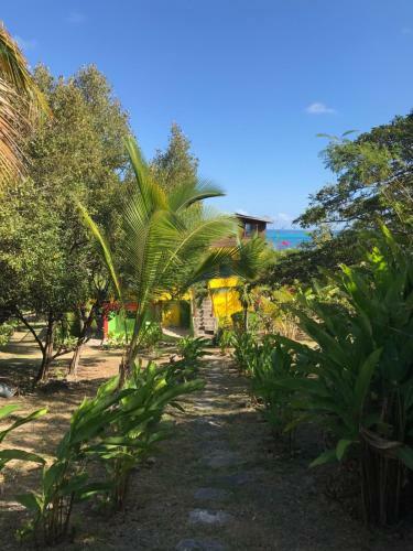 Apartamento Windy View Guest House